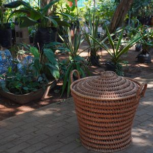 Cesto de Palha Médio com Tampa